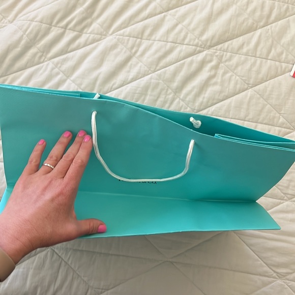 Tiffany & Company Shopping Gift Bag tote - Picture 6 of 16